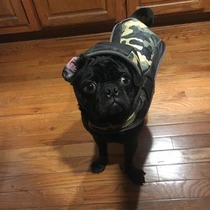 Meet your Posher, Kim